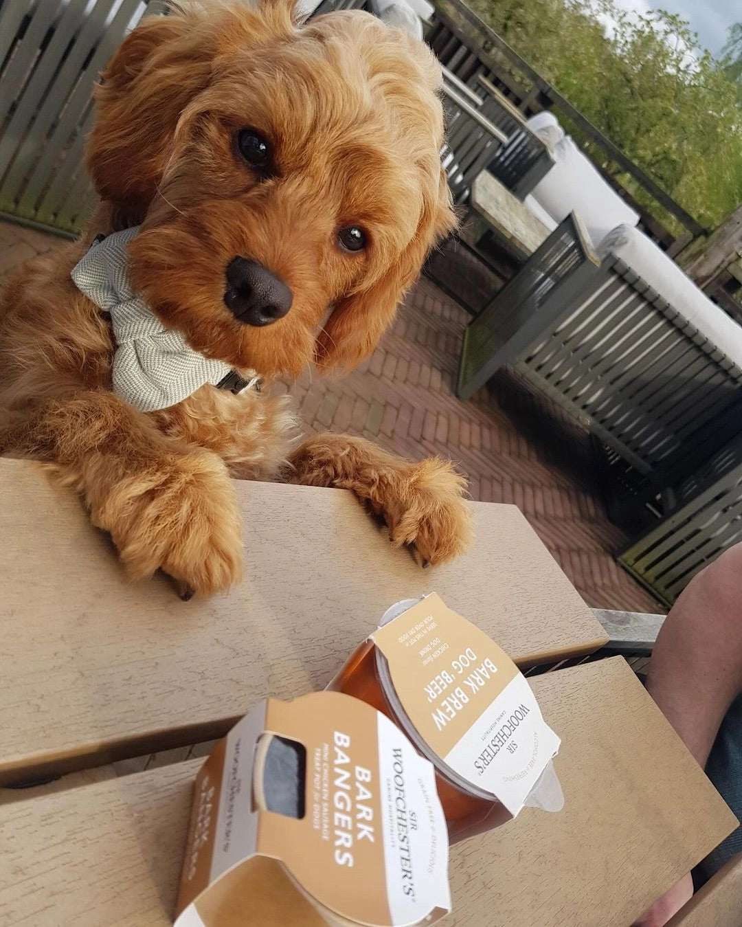 Bark Bangers Mini Chicken Sausage Dog Treats