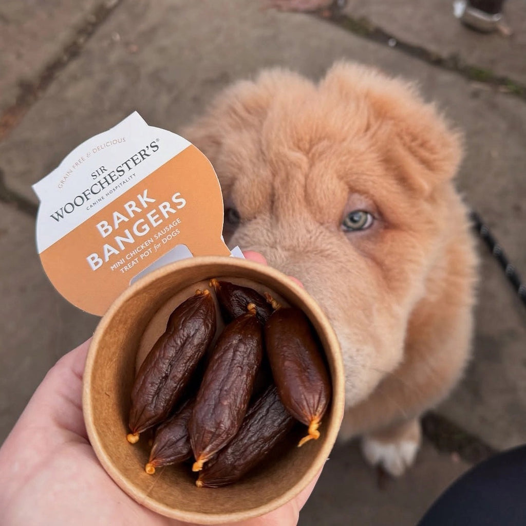Bark Bangers Mini Chicken Sausage Dog Treats