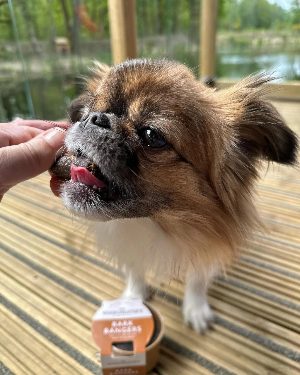 Bark Bangers Mini Chicken Sausage Dog Treats